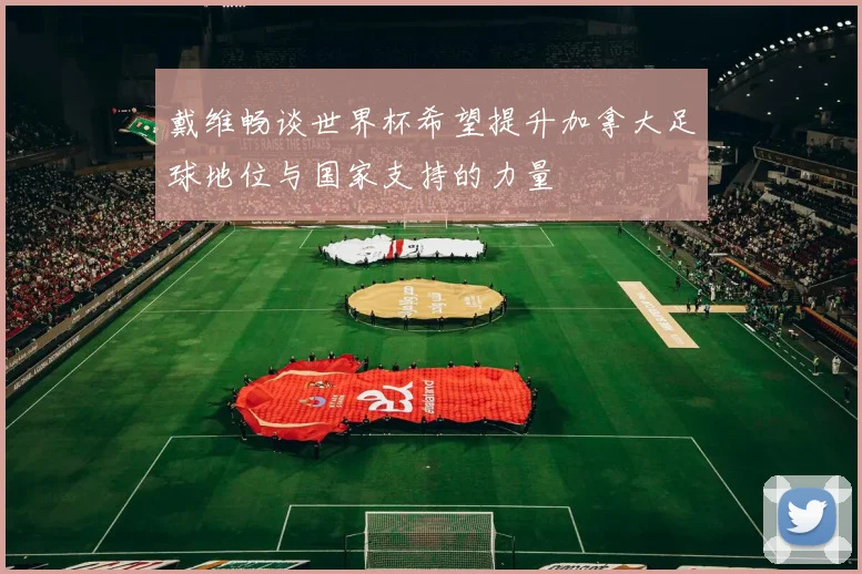戴维畅谈世界杯希望提升加拿大足球地位与国家支持的力量