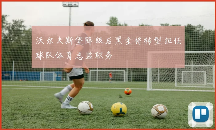 沃尔夫斯堡降级后黑金将转型担任球队体育总监职务