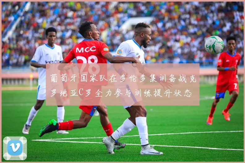葡萄牙国家队在多伦多集训备战克罗地亚C罗全力参与训练提升状态