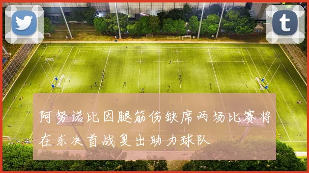 阿努诺比因腿筋伤缺席两场比赛将在东决首战复出助力球队